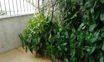 Imagem 6: Registro - Casa Padrão - Centro