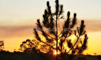 Imagem 7: Apenas 6 mil de entrada, saldo parcelado