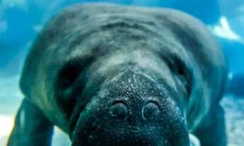 Imagem 6: Casa de condomínio para venda possui 73 metros quadrados com 2 quartos