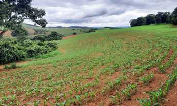 Imagem 2: Sítio - Fazenda Plaina em Jacutinga - MG