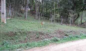 Imagem 4: CHÁCARA/FAZENDA/SÍTIO com 1 dormitório à venda com 6101.38m² por R$ 450.000,00 no bairro C