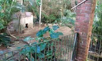 Imagem 2: Sitio Cassange Fazenda / sítio com venda por R$320.000