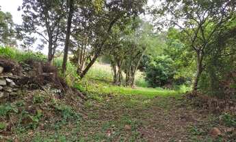 Imagem 2: Sítio / Chácara para Venda em Picada Café, Morro Hansen