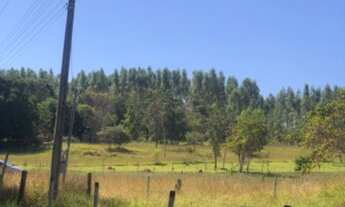 Imagem 5: Terreno de Chácara em Aragoiânia! - 3.875 m2