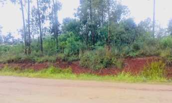 Imagem 5: 03 Terrenos, sitio, lotes no parque eldorado - Guaiba Country Club