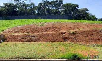 Imagem: Vintage Munk (3ª fase) pronto para construir!