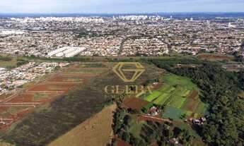 Imagem 2: Chácara, Cilo 3, Londrina, 42.504m² TE0336