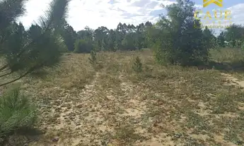 Imagem 3: OPORTUNIDADE!!! Chácara 5,1hectares em ótima localização