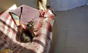 Imagem 4: Alugo quarto com banheiro individual