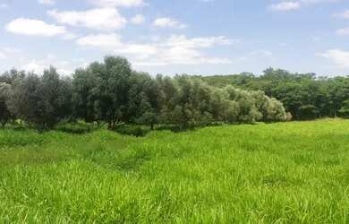 Imagem 3: Fazenda em Montes Claros-MG<br>162