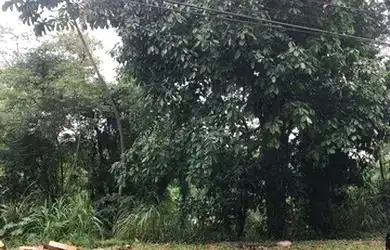 Imagem 5: TERRENO EM CONDOMÍNIO - ARUJAZINHO 1, 2, 3 - SP