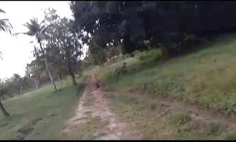 Imagem: Granja no Cabo