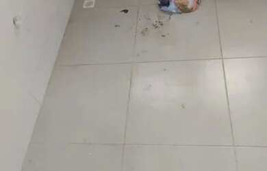 Imagem 3: Alugo Casa em condomínio com 2 dormitórios