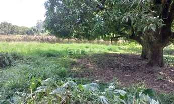 Imagem 6: SÍTIO PLANO, COM CASA, PROXIMO À VIA DUTRA LORENA SP