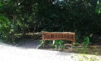 Imagem 7: Apartamento para aluguel possui 50 metros quadrados com 2 quartos