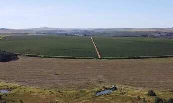 Imagem 3: Fazenda em unai m.g 1.000 hectares 103.000.000.00 ( ne-ali