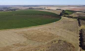 Imagem 4: Fazenda em unai m.g 1.000 hectares 103.000.000.00 ( ne-ali