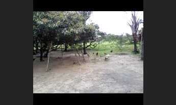 Imagem 3: Vendo Um Terreno Beiramar e outro com ponto comercial