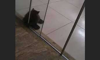 Imagem 2: Vendo casa 2 quartos e uma suíte 300.00