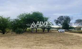 Imagem 2: ÁREA COM 1.400 M2 35X40 AS MARGENS DA BR 116 SENTIDO FEIRA DE SANTANA