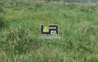 Imagem 3: Chacara de 11 Alqueires em Caldazinha