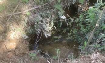 Imagem 6: Chácara com 20.000m2 São José dos Pinhais documentada Sítio Pitangueiras