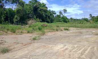 Imagem 3: Terrenos na Ilha /Lote/Terreno para venda em Barra do Gil - Vera Cruz - Bahia