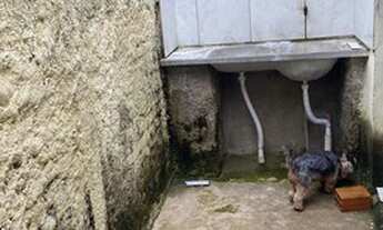 Imagem 5: Alugel Casa com 2 dormitórios