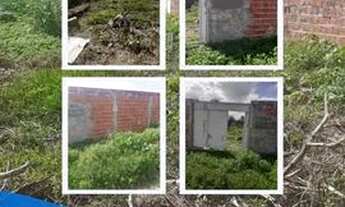 Imagem 2: Terreno Terreno / lote com venda por R$50