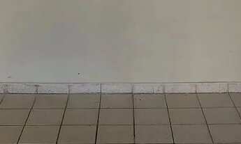 Imagem 7: Casa para alugar em primeiro andar