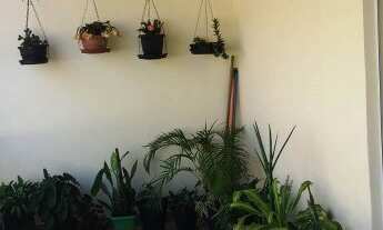 Imagem 7: Padre Miguel: Boa casa 02 quartos