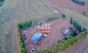 Imagem 2: Fazenda 103 Alqueires (500 Hectares) Doverlândia - GO