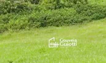 Imagem 4: Chácara 3 Alqueires à Venda Silvânia