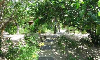 Imagem 7: Pousada Flamboyart