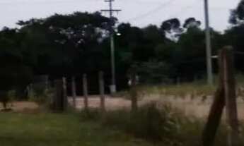 Imagem 7: Sítio em Águas Claras