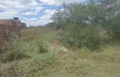 Imagem 2: Terreno para chácara