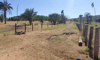 Imagem 6: Fazenda à Venda em Aruanã - GO | 100 Alqueires