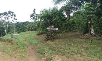 Imagem: VENDE-SE SÍTIO NA CARLOS BRAGA