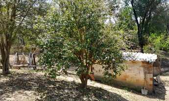 Imagem 6: Chácara 1200 metros