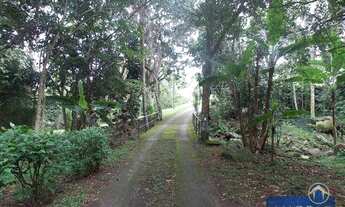 Imagem 6: Belíssima área de terra em Ratones, Florianópolis