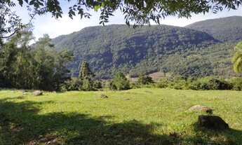 Imagem 6: Sítio / Chácara para Venda em Picada Café, Morro Hansen, 2 dormitórios, 1 banheiro