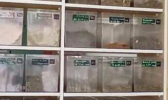 Imagem 6: Loja de Produtos Naturais com tudo dentro