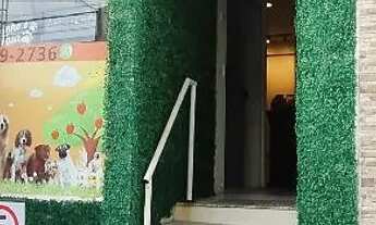 Imagem: Passo pet shop c/ banho e tosa