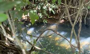 Imagem 2: 70 mil !Chácara com córrego /pega carro e moto/no fundo em Hidrolândia 2000 m²