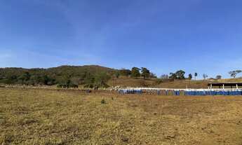 Imagem 4: Fazenda 77 alqueires em Goiás velho-GO