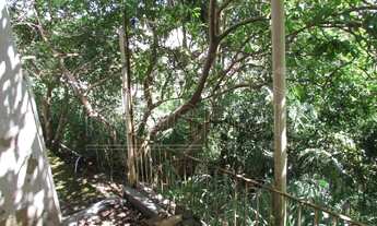 Imagem 3: Casa em terreno de 16 metros de frente