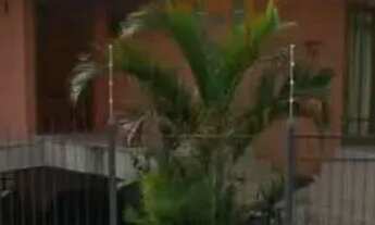 Imagem 4: Casa à venda no Jardim Atlântico Florianópolis