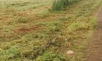 Imagem: Lotes em Goianira Jardim imperial metragem