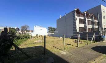 Imagem 3: Terrenos - Vinhedos