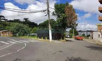 Imagem 2: Terreno Cinqüentenário Caxias do Sul